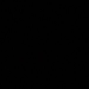 Meet your Posher, Margo